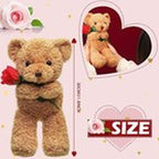 Huggable Bear with Flower