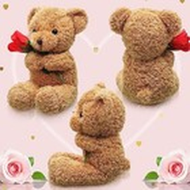 Huggable Bear with Flower