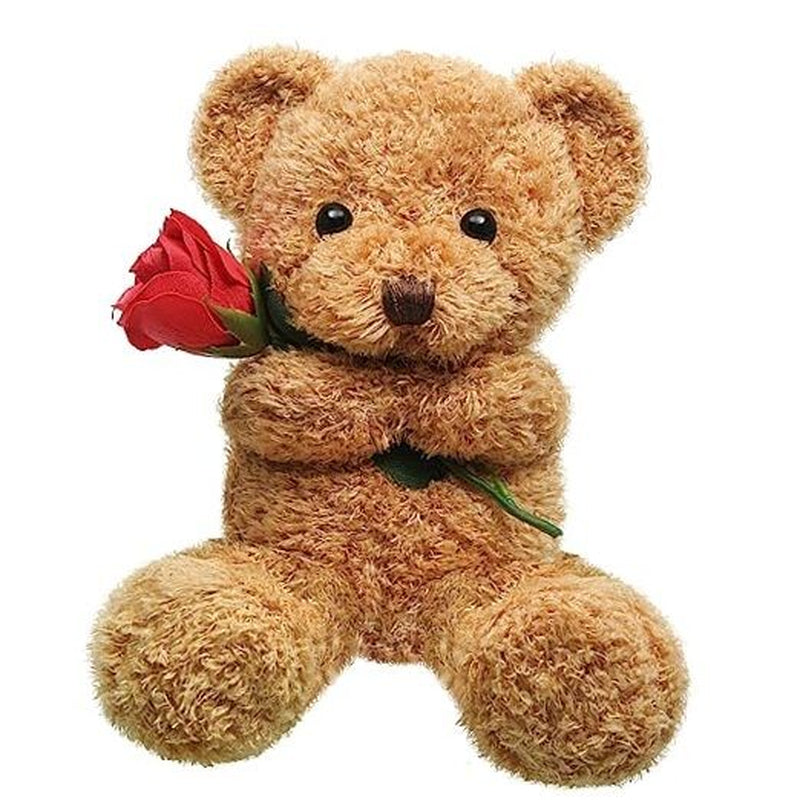 Huggable Bear with Flower