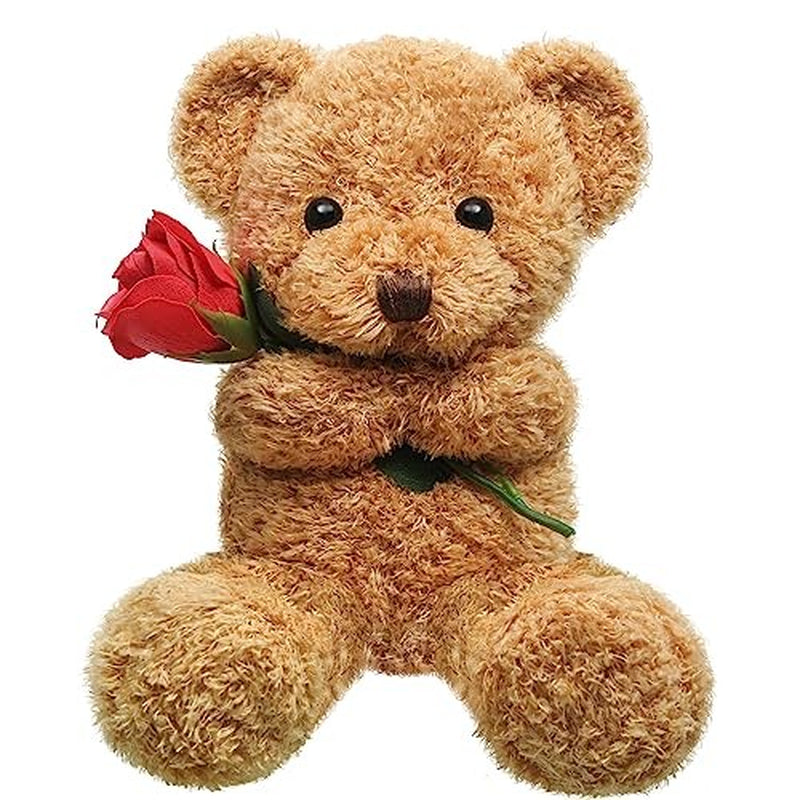 Huggable Bear with Flower