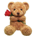 Huggable Bear with Flower